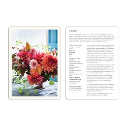 Ariella Chezar: The Floral Deck: 50 Flower Arrangements for Every Occasion