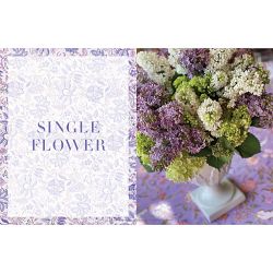 Charlotte Moss: Flowers