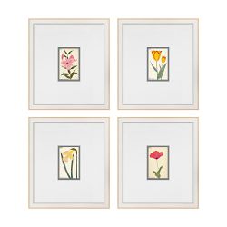 Hubbard Flower Illustrations