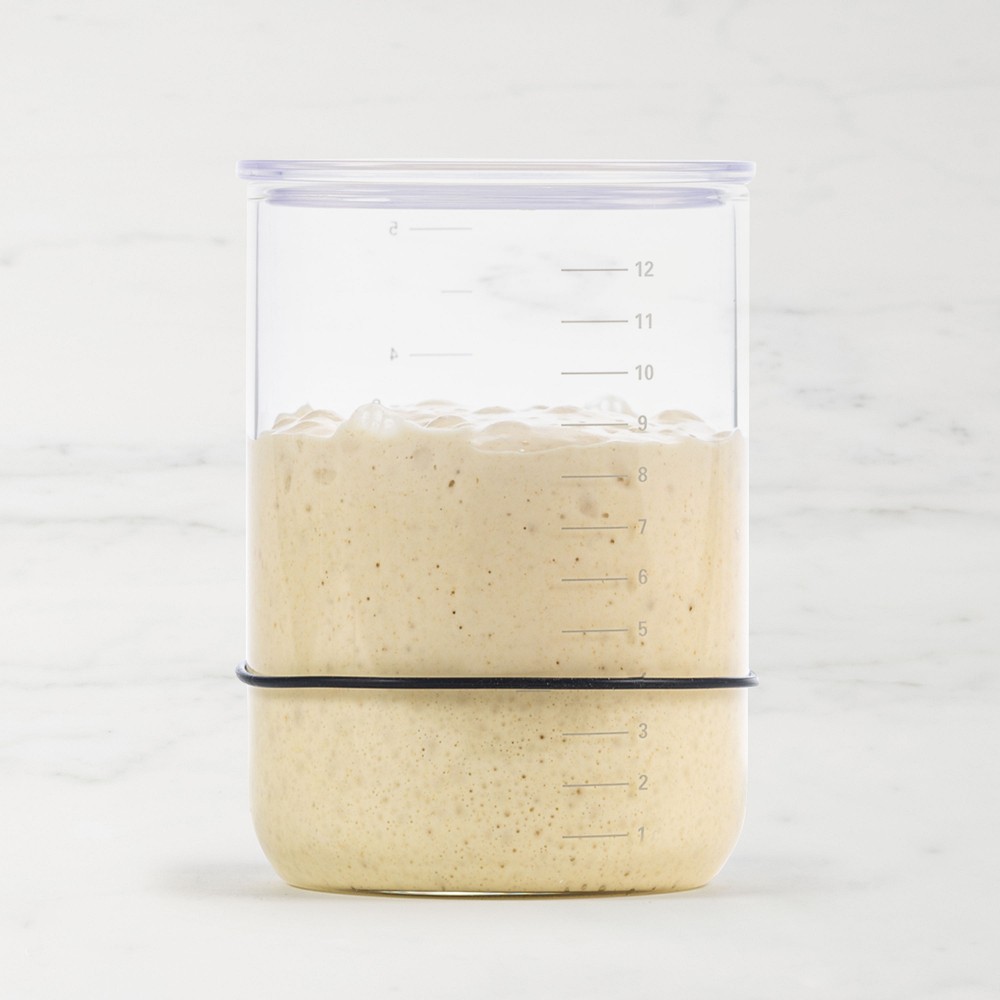 Brod & Taylor Sourdough Starter Jar