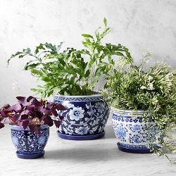 Blue and White Planter House Plant Set