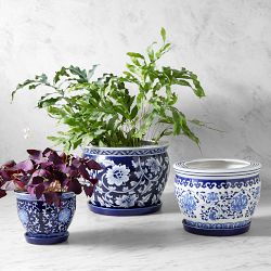 Blue and White Planter House Plant Set