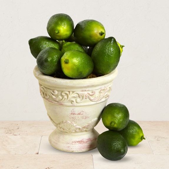 Faux Limes, Set of 12