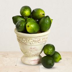 Faux Limes, Set of 12