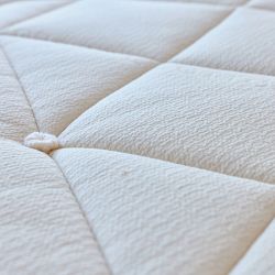 Avocado Organic Luxury Mattress
