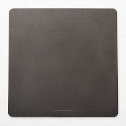 Williams Sonoma Pizza Steel
