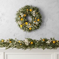 Olive Billy Button Live Wreath &amp; Garland