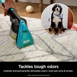 Shark® CarpetXpert™ HairPro® Pet with StainStriker™