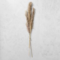 Dried Pampas Bunch, Set of 3