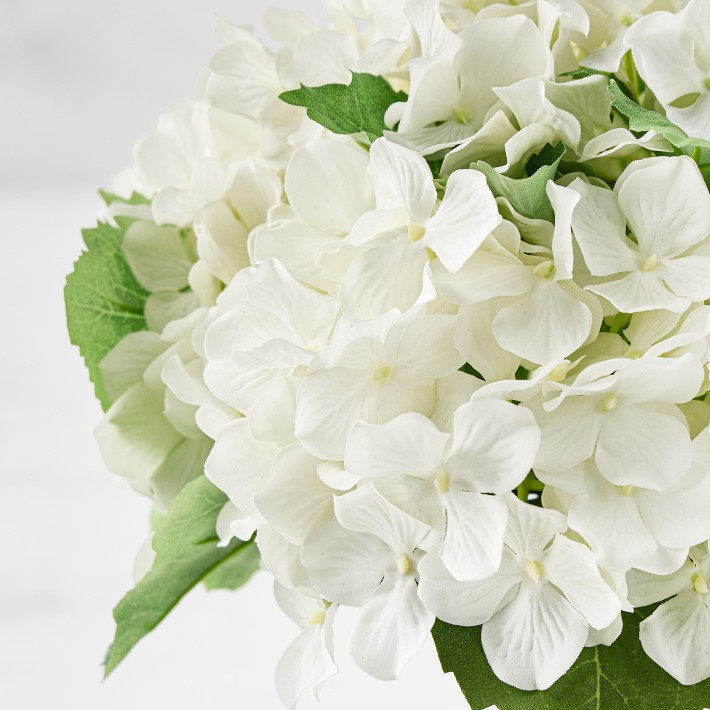 Real Touch Faux Small White Hydrangea Bundle | Williams Sonoma
