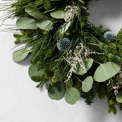 Winter Greens Live Wreath &amp; Garland 