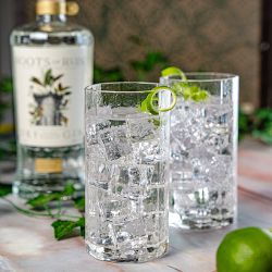 Terrane NO 12 Tumblers, Set of 2