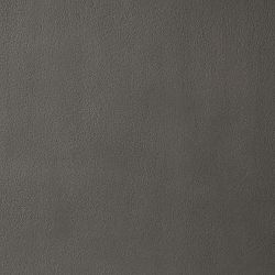 Havana Outdoor Fire Carbon Swatch