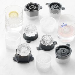 Williams Sonoma Ultimate Flower Bouquet Ice Mould, Set of 6