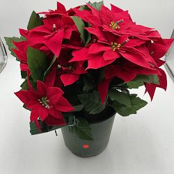 OPEN BOX: Balsam Hill Lit Poinsettia Celebration Pot Filler, Extra Large