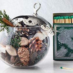 Williams Sonoma Winter Forest Potpourri in Glass Vessel