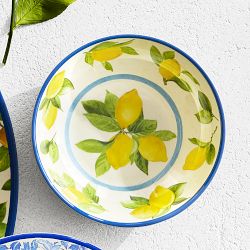 Lemon Outdoor Melamine Bowls