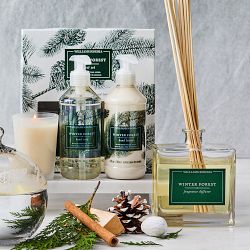 Williams Sonoma Winter Forest Guest Set