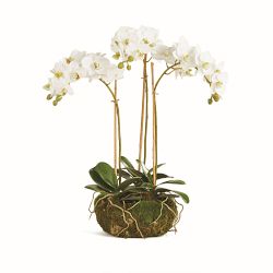 Faux Phalaenopsis Orchid Drop-In,16"
