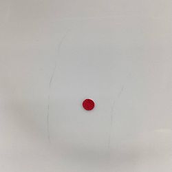 OPEN BOX: Pillivuyt Coupe Porcelain Salad Plates, Set of 4, White