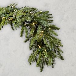 OPEN BOX: Balsam Hill Fraser Fir Garland, 2-Pack, 10', Clear LED