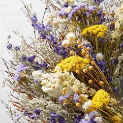 French Inspired Live Spring Wreath, 20"