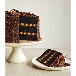 Matt Adlard: The Science of Baking: Everything You Need to Know to Create Perfect Sweet and Savory Bakes, Every Time