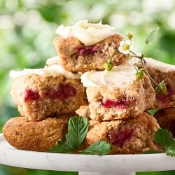 Callie's Strawberry Shortcake Biscuits, Set of 24