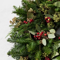 Cedar Berry Eucalyptus Live Wreath &amp; Garland