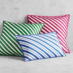 Painted Stripe Silk Pillow Cover