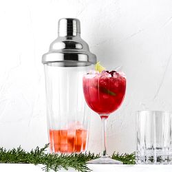 Williams Sonoma Dorset Cocktail Shaker