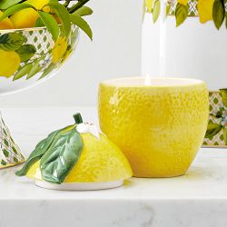 Limone Meyer Lemon Candle