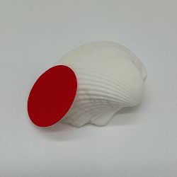 OPEN BOX:Fleur de Sel Vase Filler, Blue