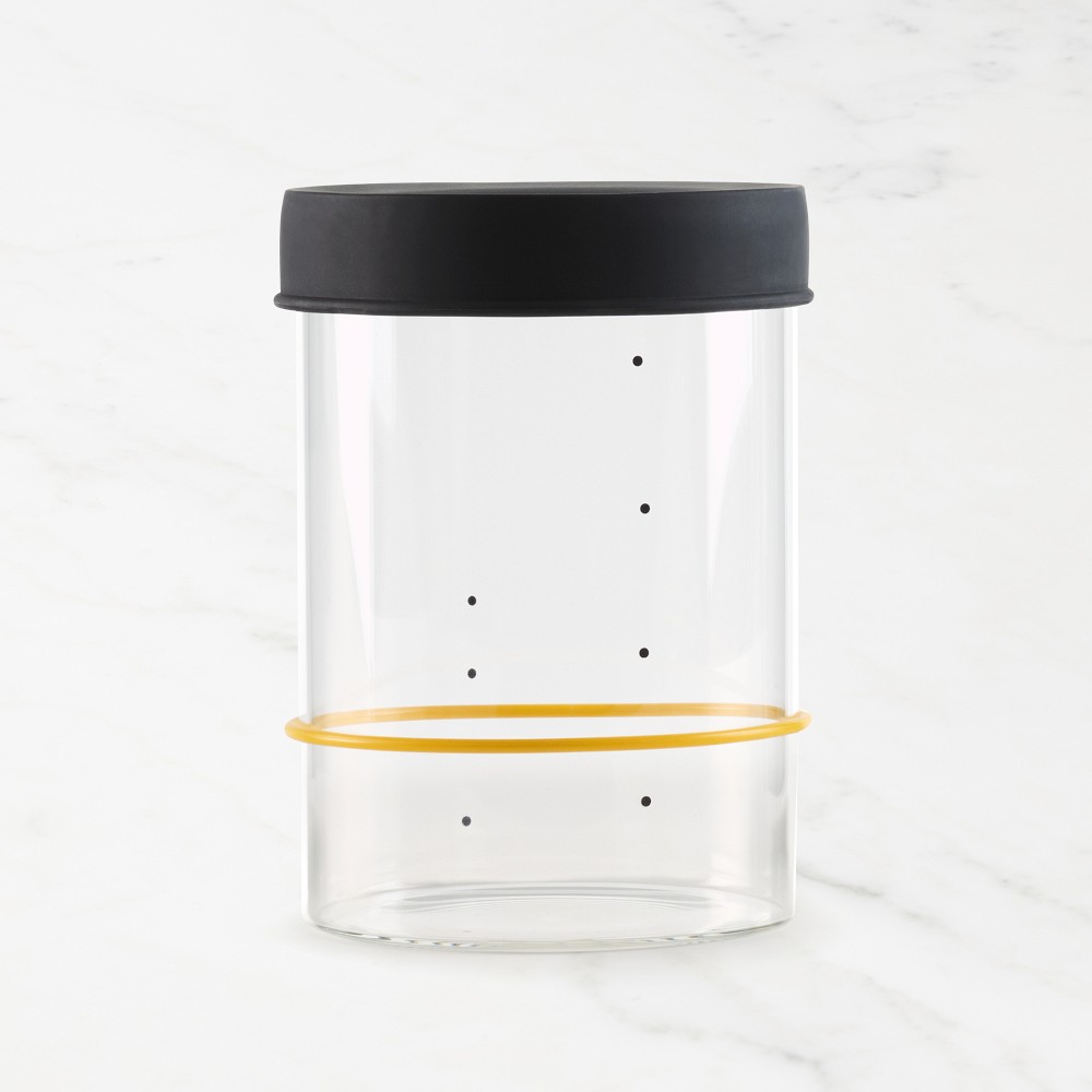 Sourhouse™ Starter Jar - Quart