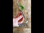 Video 2 for Williams Sonoma Herb Snips