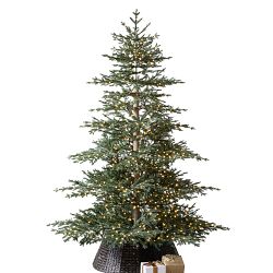 Balsam Hill Most Realistic Aspen Silver Fir reNew Faux Tree