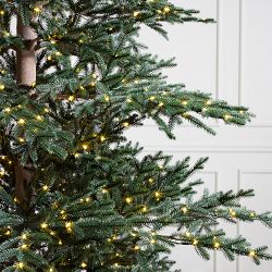 Balsam Hill Most Realistic Aspen Silver Fir reNew Faux Tree