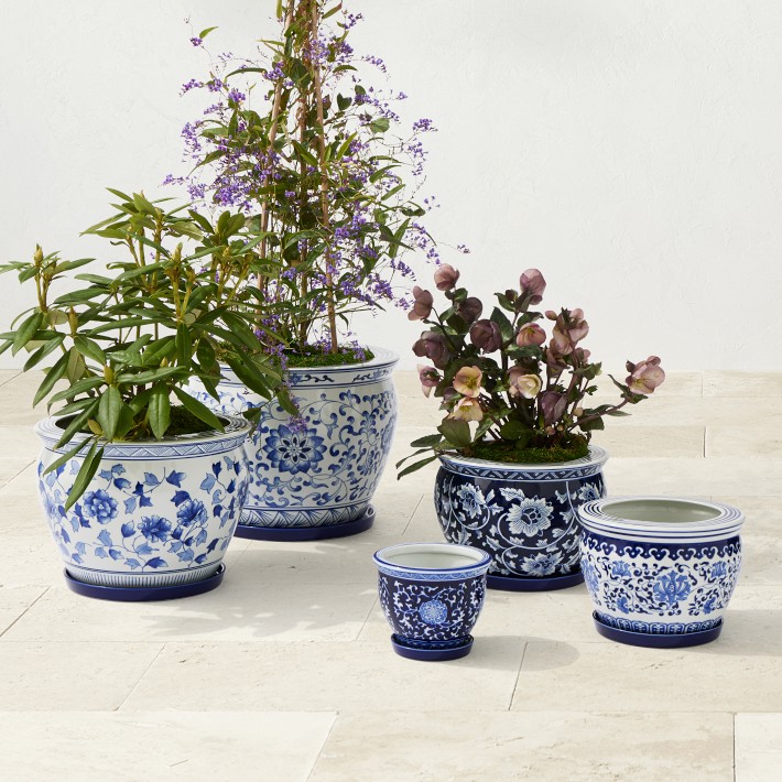 Blue & White Ultimate Planter Pot Set | Williams Sonoma