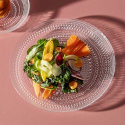 Fortessa Jupiter Dinner Plates