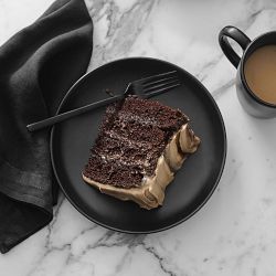 Open Kitchen by Williams Sonoma Matte Coupe Dinner Plates