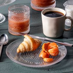 Fortessa Jupiter Dinner Plates