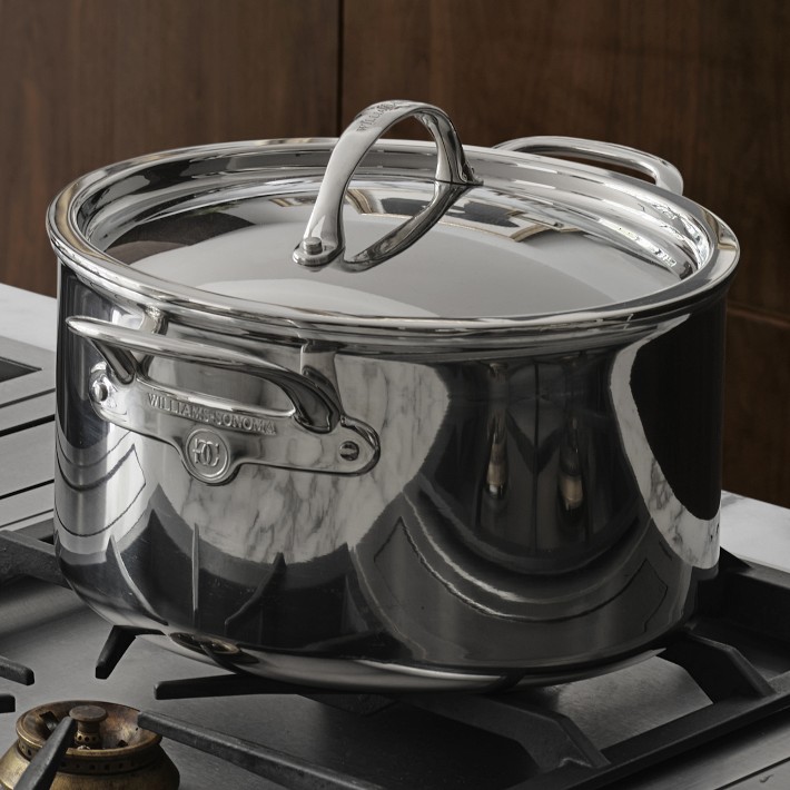 Williams Sonoma Signature Thermo-Clad™ Stainless-Steel Stock Pot