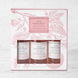 Williams Sonoma Pink Grapefruit Kitchen Essentials Kit