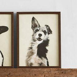 Limited Edition Dog Portrait IV, Lorenzo