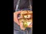 Video 3 for Ooni Koda 16 Gas Powered Pizza Oven