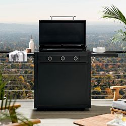 All-Clad Outdoor Gas Griddle, 29"