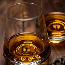 Terrane Modern Snifter Glasses, Set of 2