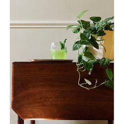 Jim Meehan: The Bartender's Pantry