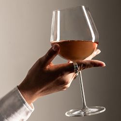 Schott Zwiesel Vuelo Chardonnay Wine Glasses, Set of 6