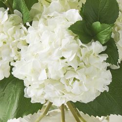 Faux White Hydrangea Arrangement in Glass Vase